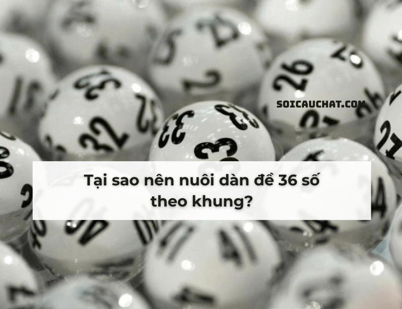 dan de 36 khung 3 ngay hay