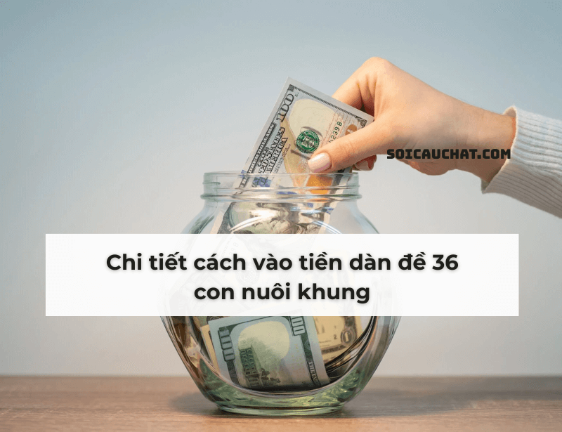 vao tien dan de 36 so