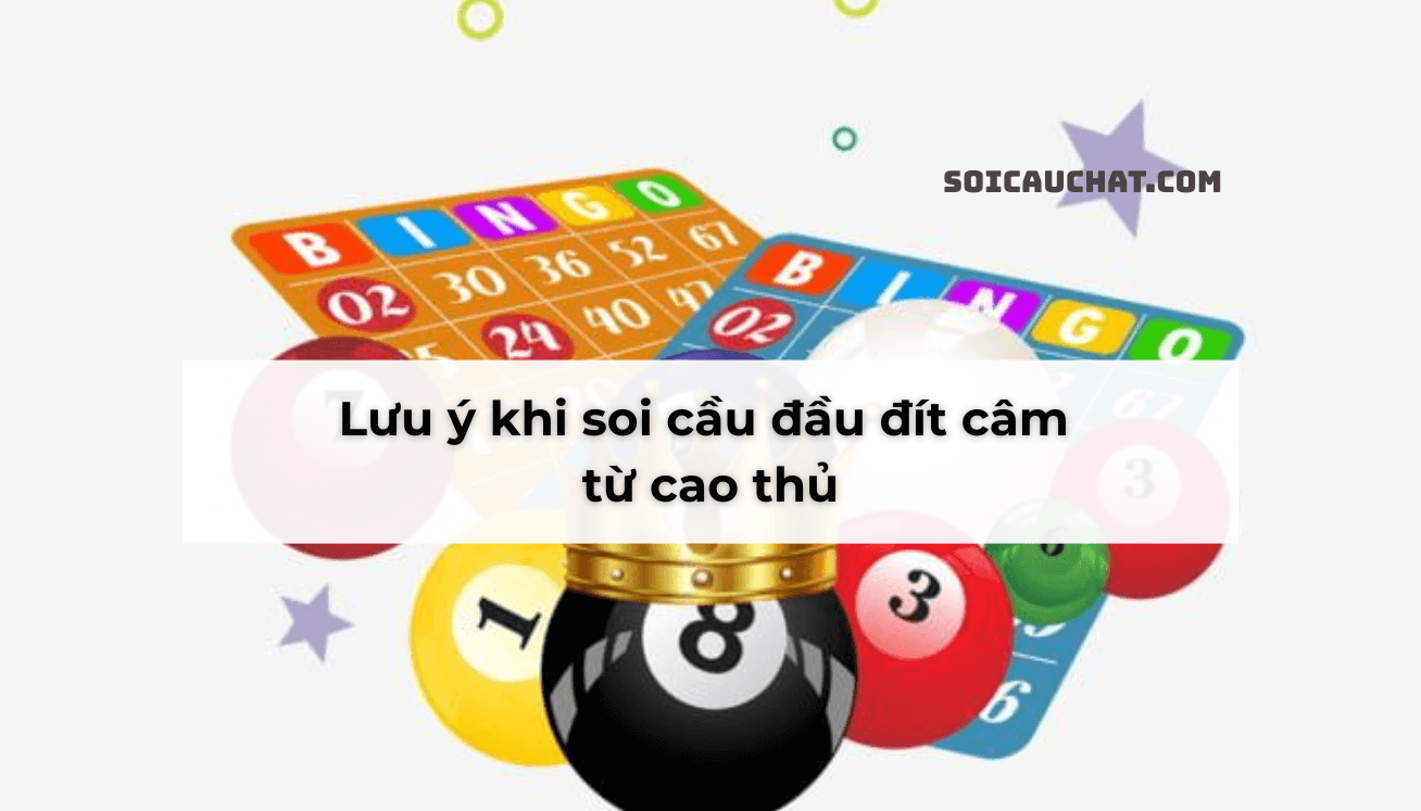dau dit cam danh con gi