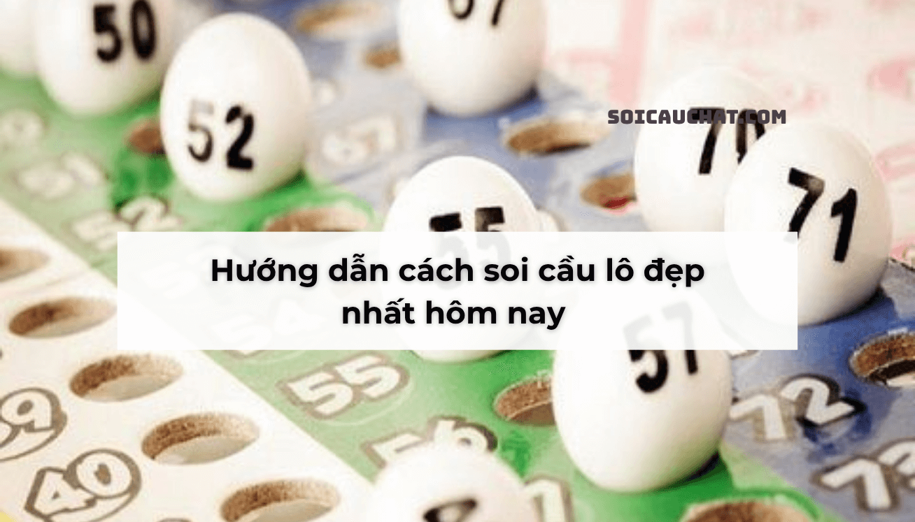 cau lo chay deu nhay mb