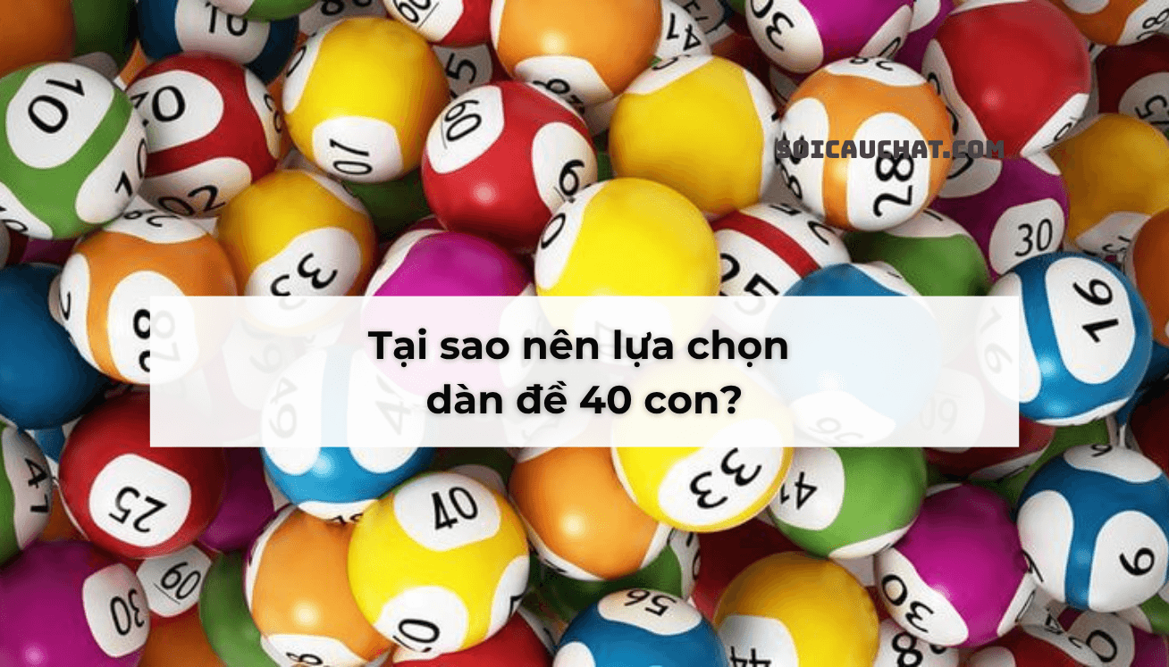 dan de 40 so mb