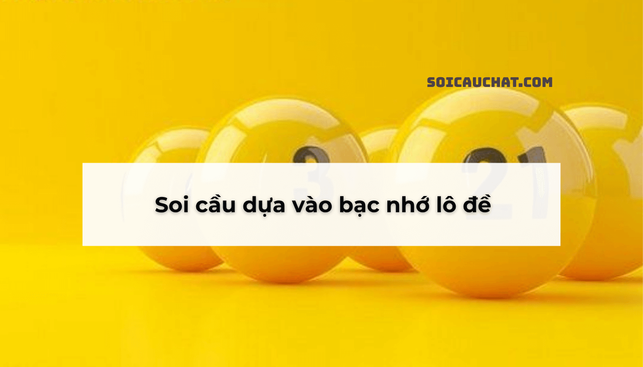 danh de dau duoi mn