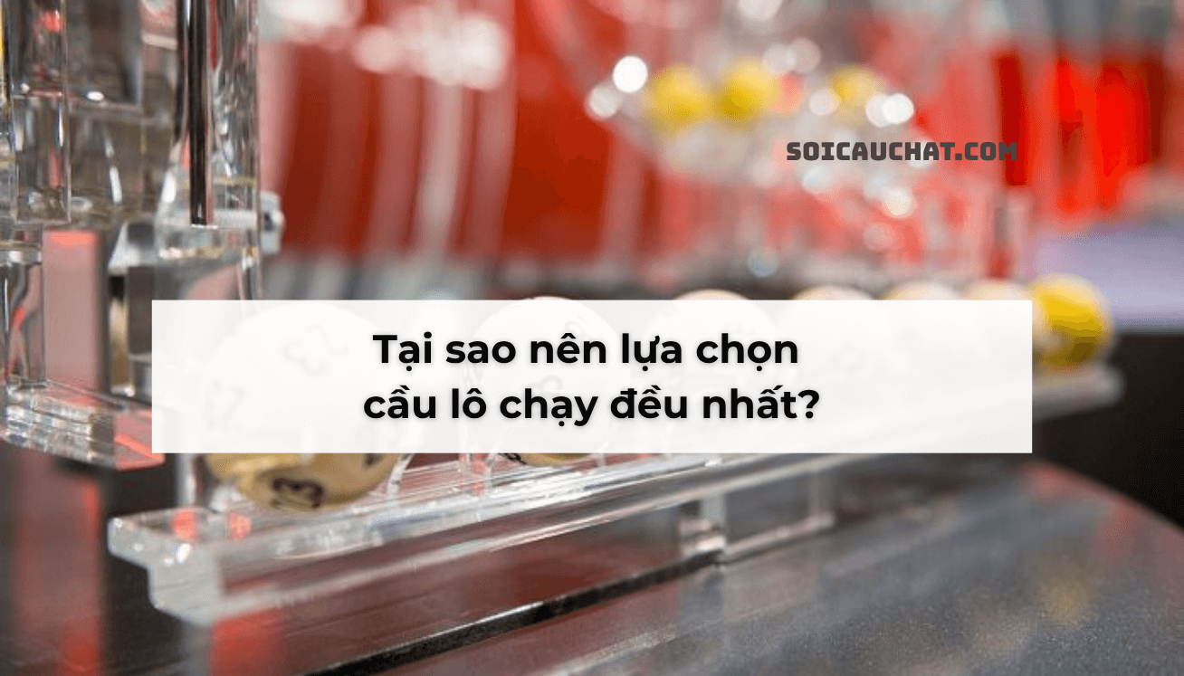 soi cau lo chay deu nhat