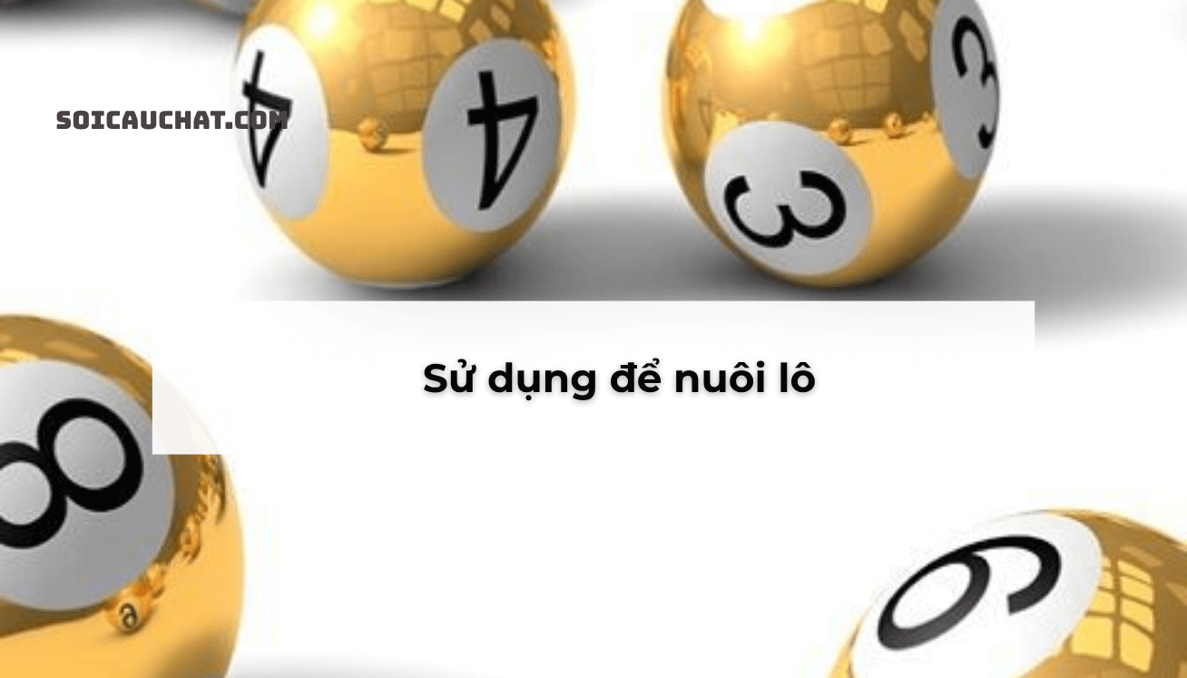 soi cau lo gan mb