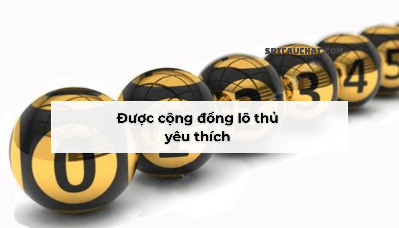 soi cau lo gan mien phi