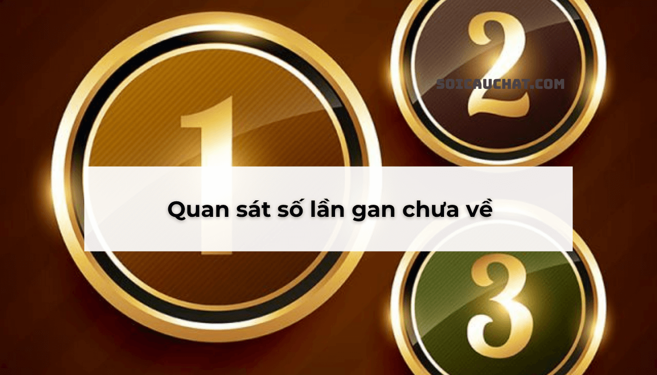 soi cau rbk
