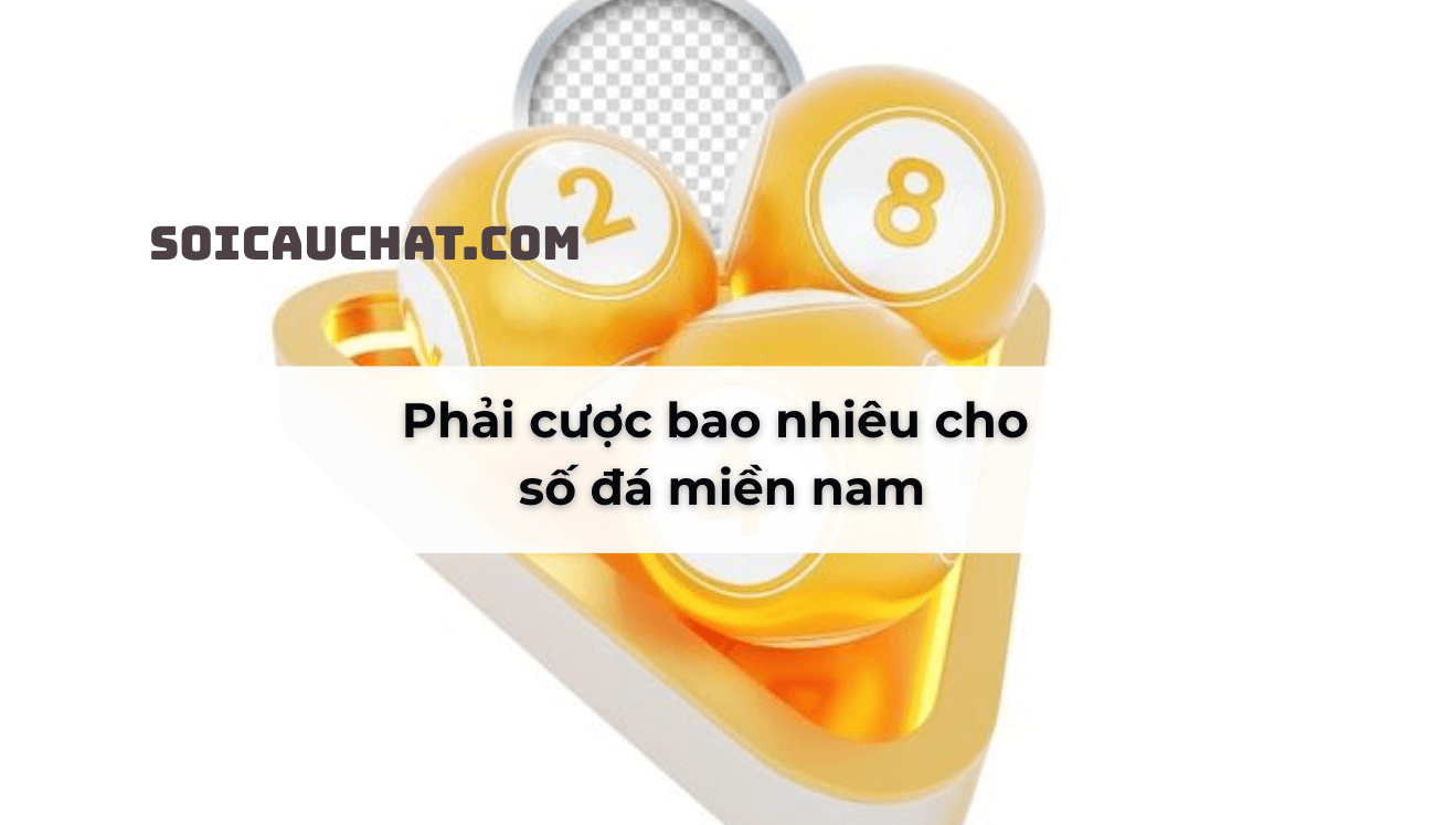 soi cau so da mien nam