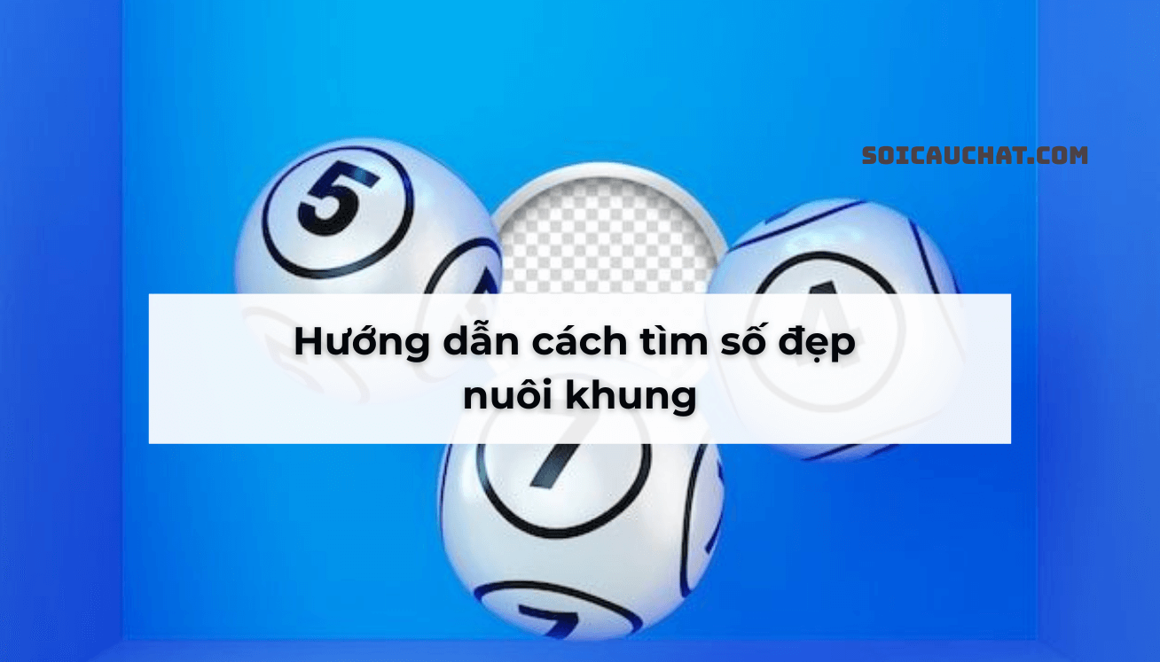 nuôi lô khung 7 ngày MB
