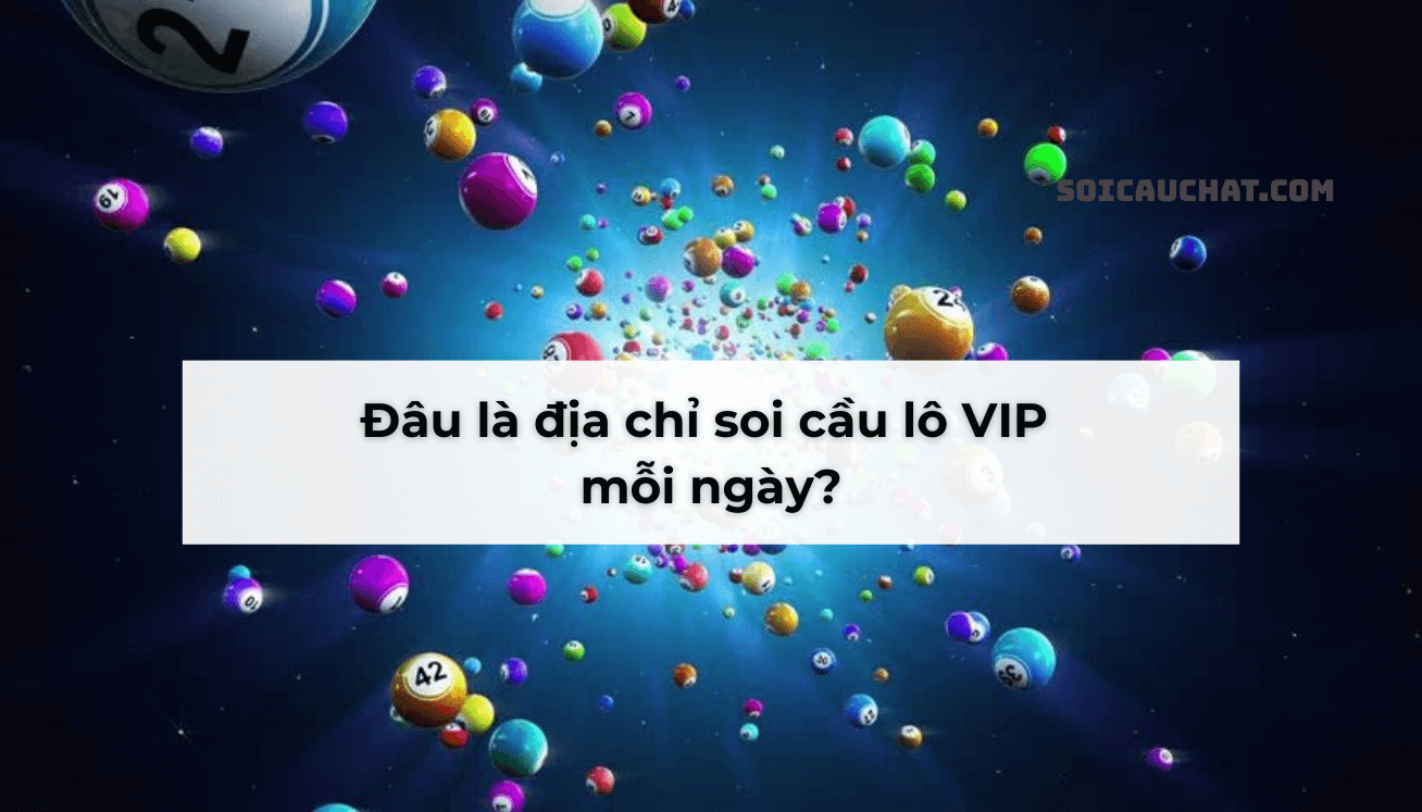 soi cau mb