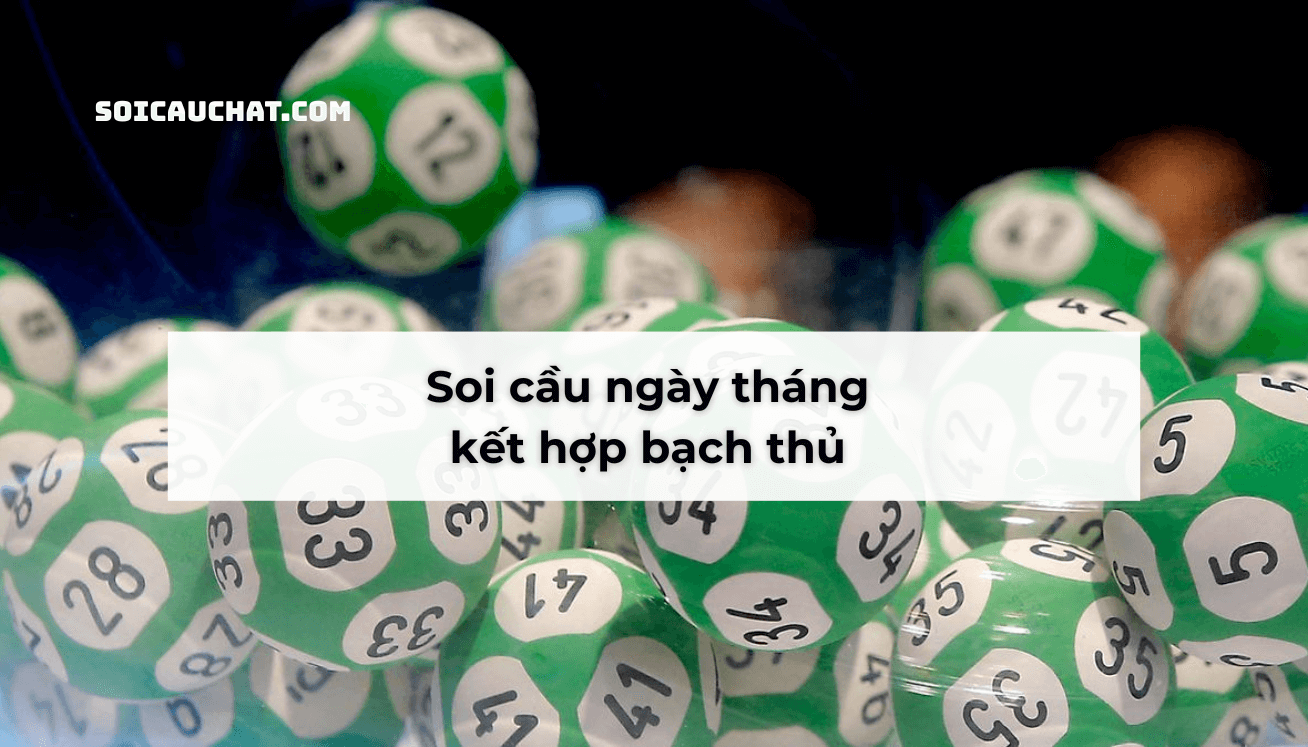soi cau xsmb