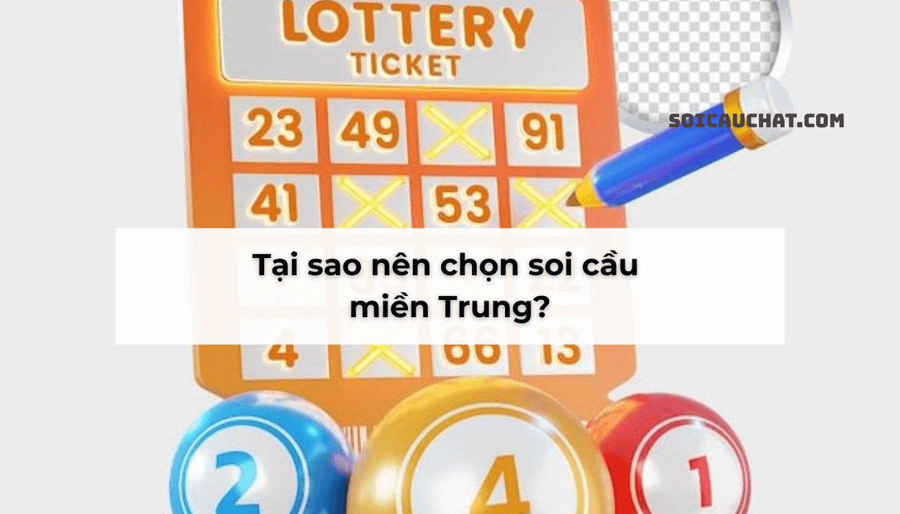 tai sao nen soi cau mien trung