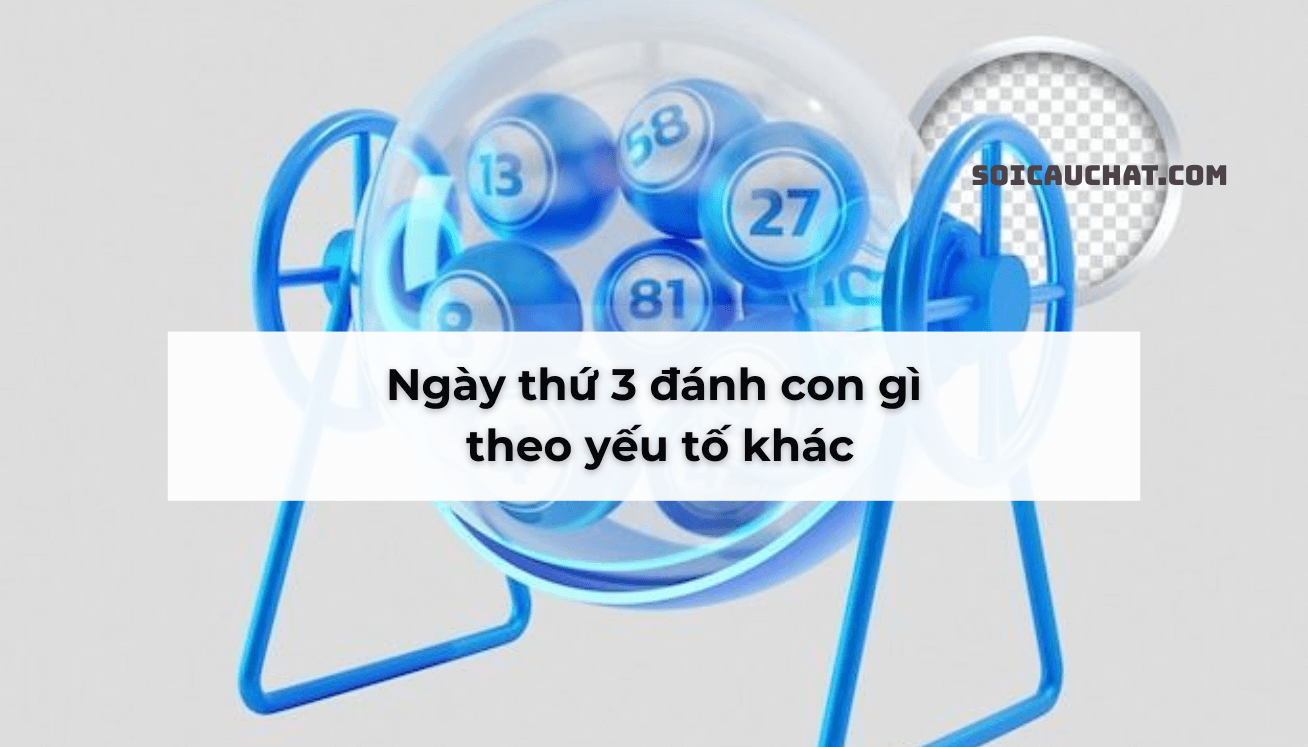 thứ 3 đánh con gì hay
