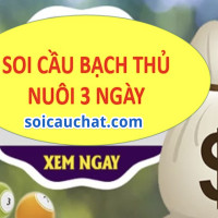 Nuôi lô bạch thủ khung 3 ngày - cách chơi bất bại
