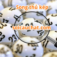 Nuôi lô kép song thủ khung 2 ngày siêu chuẩn mới nhất 2024