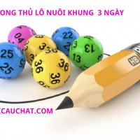 Song thủ lô nuôi khung 3 ngày chắc ăn 2024