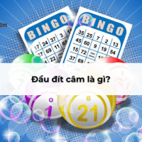 Đầu câm đít câm đánh con gì