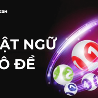 Tổng hợp thuật ngữ lô đề từ A-Z từ soi cầu 247