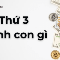 Thứ 3 đánh con gì ăn 100 từ cao thủ