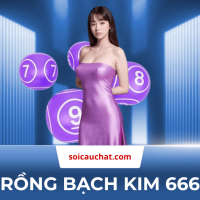 Rồng bạch kim 666 - Soi cầu xổ số 66 miền bắc chính xác